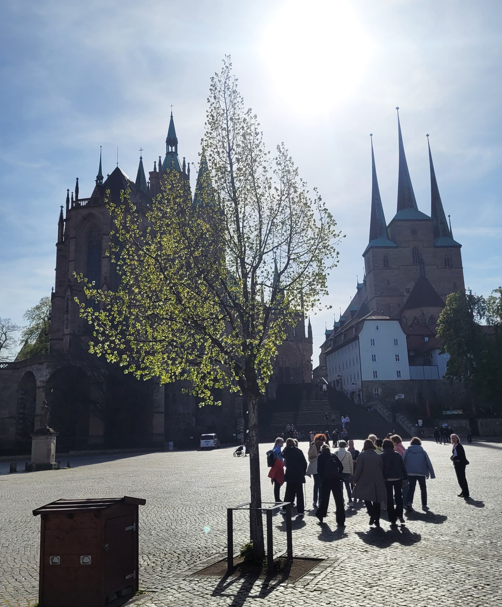 Blick auf den Dom St. Marien und die St. Severi-Kirche