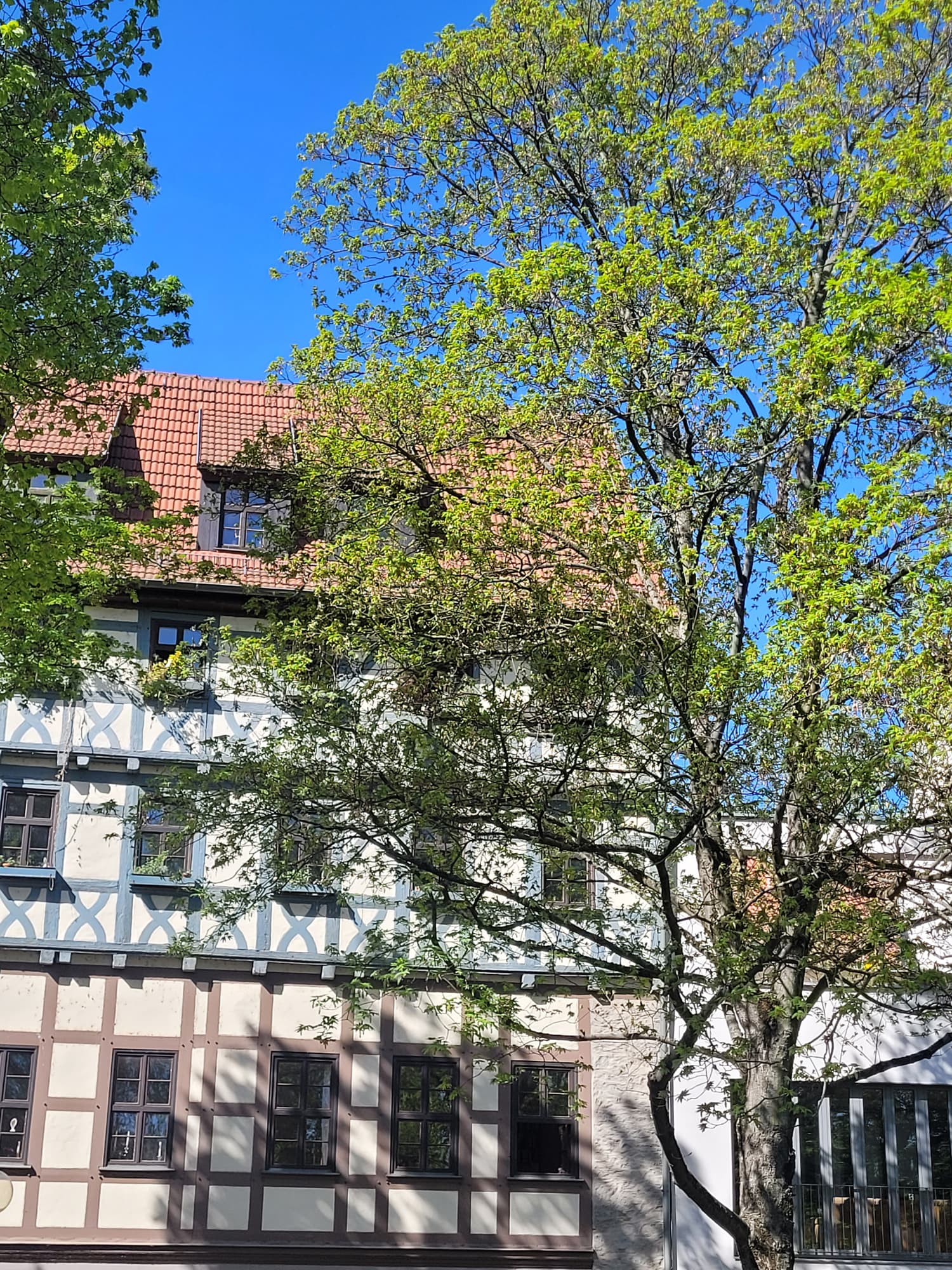 Impression aus Erfurt