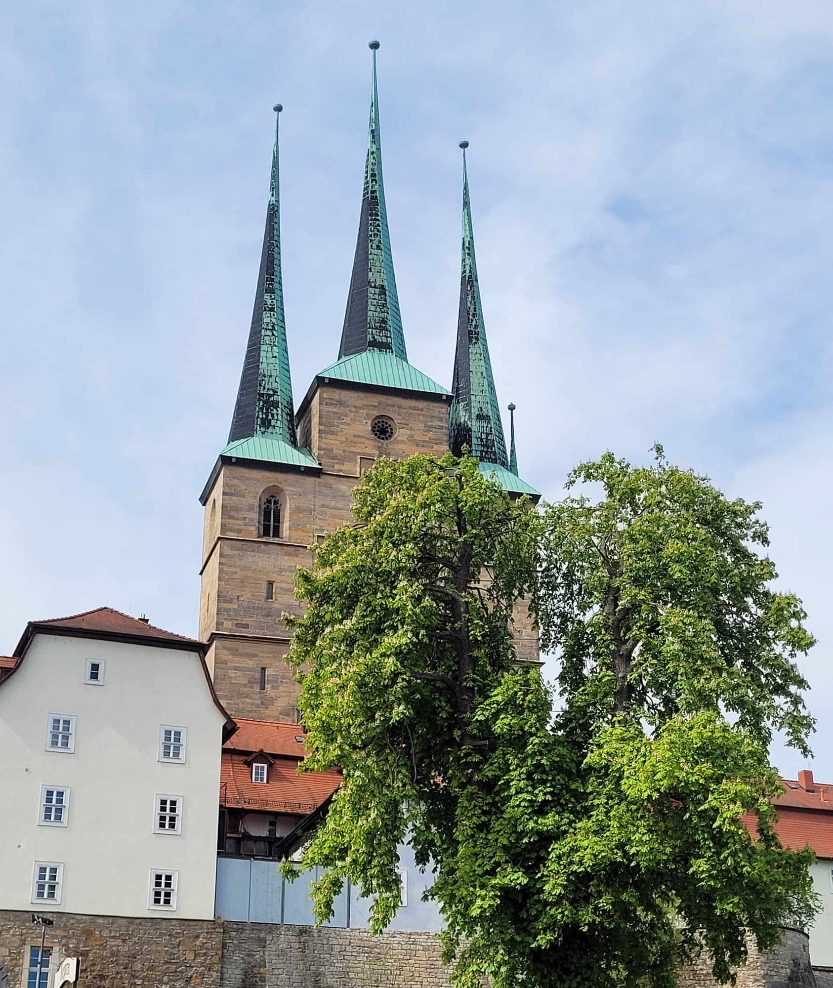 die gotische Kirche St. Severi